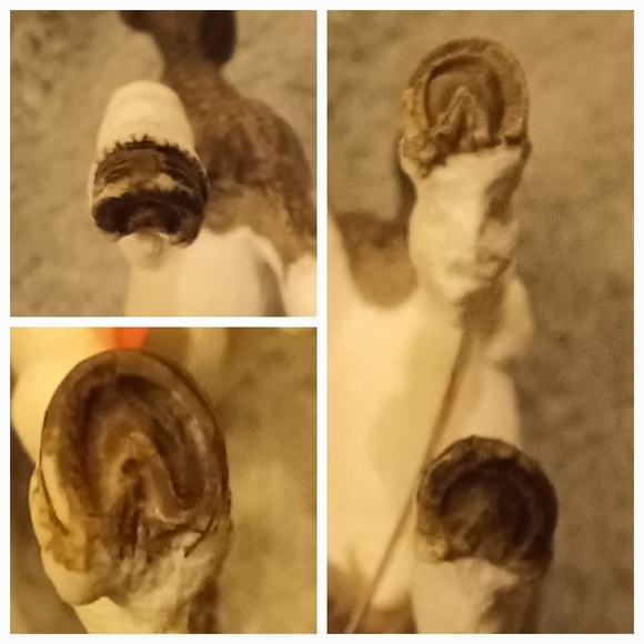 Schleich 2014 Tinker Foal - Picture 14 of 15